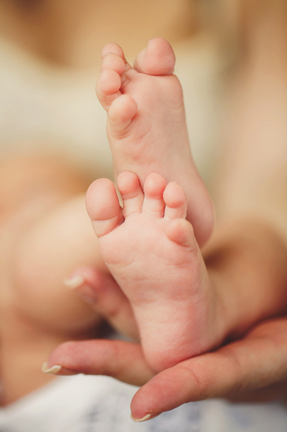 nogi dziecka. nogi noworodka w ręce rodziców. niemowlę nogi. - Zdjęcie, obraz