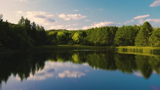 Górski las zielonych drzew i spokojne jezioro, piękny widok panoramiczny - Materiał filmowy, wideo