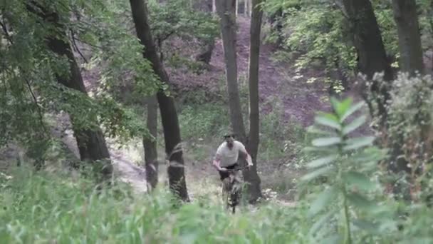 Valkoihoinen mies valkoisessa t-paidassa ratsastaa nopeasti mustalla maastopyörällä metsäpolkua pitkin. Mies pyöräilijä maastopyörällä ulkona. Toimintaa, liikuntaa. Urheilija vuorikiipeilijä ajaa polkupyörällä metsäpolkua pitkin - Materiaali, video