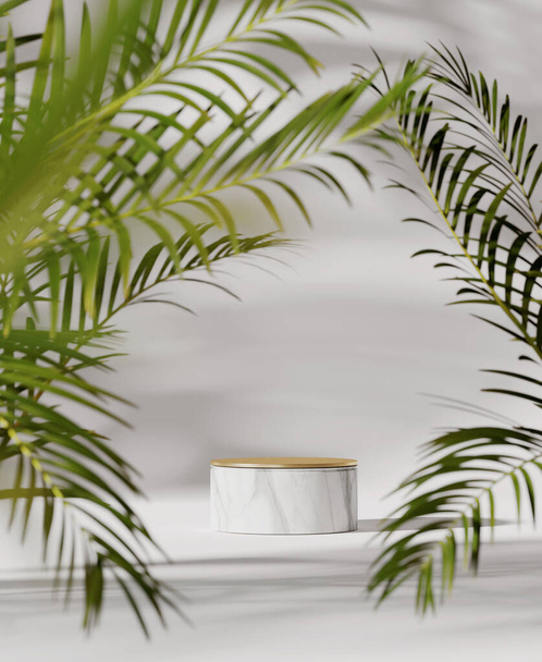 3D podium, tropical  pedestal on white background with green natural palm leaf. Marble, gold display showcase  for beauty product, cosmetic promotion. Abstract, exotic minimal banner mockup, 3D render - Valokuva, kuva