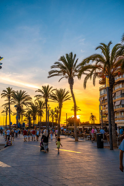 Promenade with palm trees at sunset in the coastal town of Torrevieja, Alicante, Valencian Community. Spain, Mediterranean Sea - Fotoğraf, Görsel