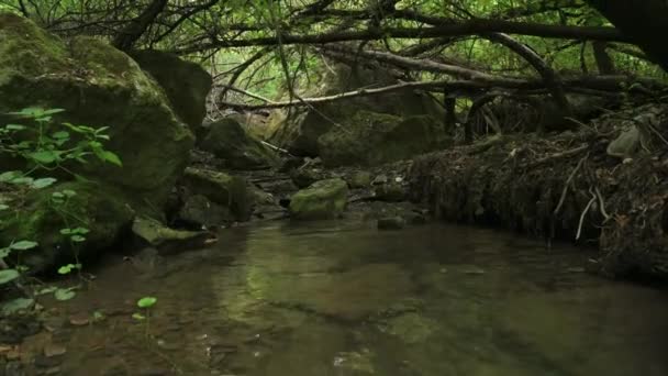 cascadas en Bechirs Creek cerca de Soroca, Moldavia - Metraje, vídeo