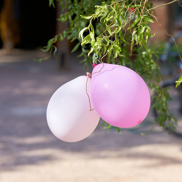  барвисті повітряні кулі на дитячому дні народження
                               - Фото, зображення
