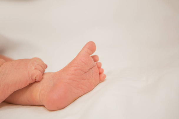 Baby's feet, fingers close up. newborn baby legs, massage concept of childhood, health care, IVF, hygiene - Foto, immagini