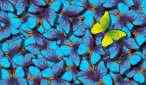 Bleu fond de texture abstraite. Papillon Morpho. Les ailes d'un papillon Morpho. Vol de papillons bleu vif fond abstrait. Papillons jaunes sur fond de nombreux papillons bleus - Photo, image