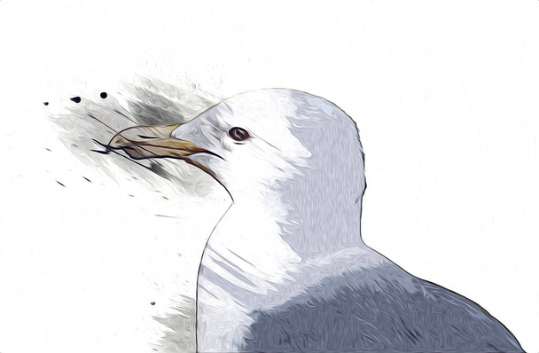 Atlanti-óceáni fehér tengeri madár repül az égen. Tengerparti sirály. Tengeri madarak, sirály rajzfilm művészet illusztráció - Fotó, kép