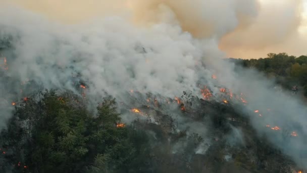 Αεροφωτογραφία στη φωτιά στην χωματερή, το κάψιμο μολύνει το περιβάλλον. Οικολογική καταστροφή και καταστροφή της φύσης - Πλάνα, βίντεο