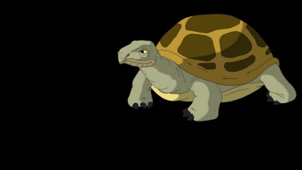 Grande tartaruga palude prende pochi passi. Filmati animati fatti a mano isolati con canale alfa.  - Filmati, video