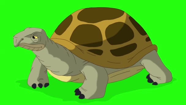 Big swamp turtle turtle buries itself in the sand. Handmade animated footage isolated on green screen - Footage, Video