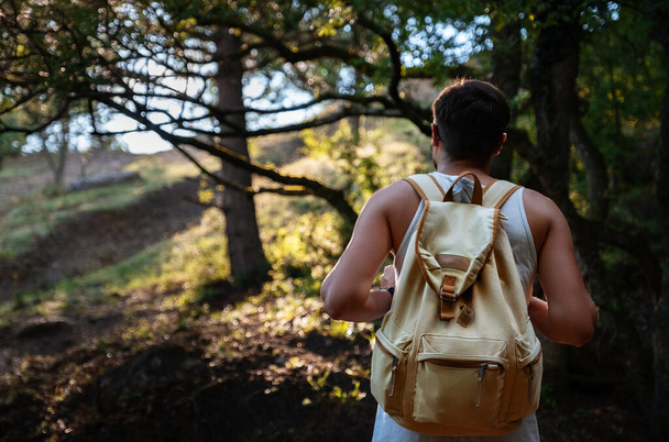 Sırt çantalı gezgin yaz günbatımı ormanında doğa yürüyüşü yapıyor. Seyahat yaşam tarzı ve macera konsepti. - Fotoğraf, Görsel