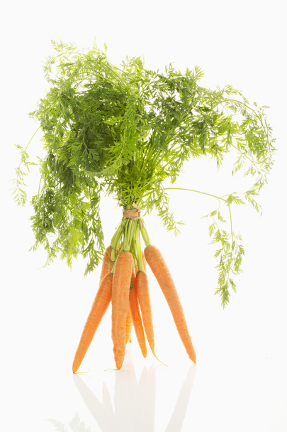 Carrots - 写真・画像