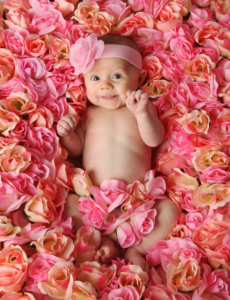 Bebê em uma cama de rosas
 - Foto, Imagem