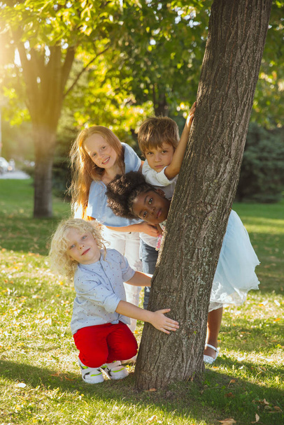 Irklar arası çocuklar, kızlar ve oğlanlar yaz günü parkta birlikte oynuyorlar. - Fotoğraf, Görsel