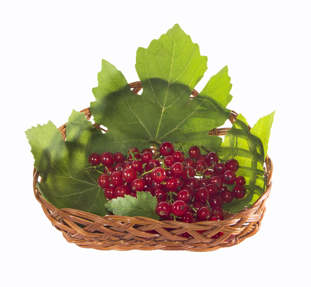 fresh redcurrant in a basket - Foto, Imagen