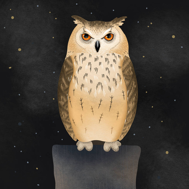 Illustration of a cute owl. Multi-colored owl on a dark background. - Φωτογραφία, εικόνα