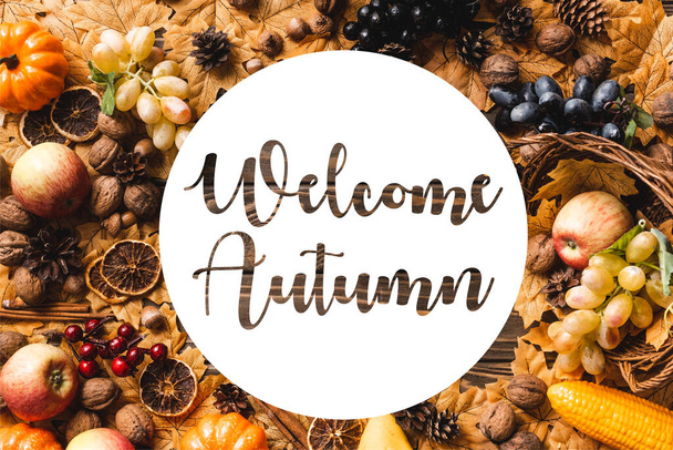 top view of frame made of harvest and foliage near welcome autumn lettering on wooden background - Photo, Image
