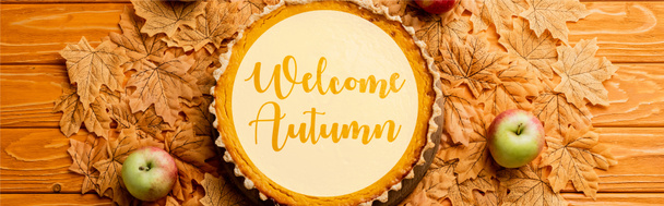vue du dessus de tarte à la citrouille d'Action de grâces avec des pommes sur les feuilles près de bienvenue lettrage d'automne sur fond en bois, culture panoramique - Photo, image