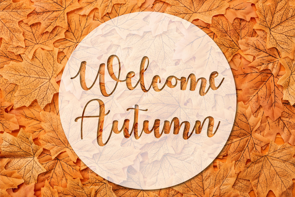 top view of golden autumnal leaves near welcome autumn lettering  - Photo, Image