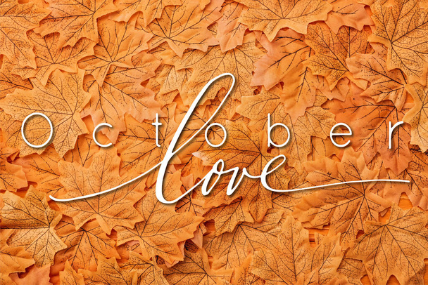 vue du dessus des feuilles dorées automnales près du lettrage d'amour d'octobre  - Photo, image