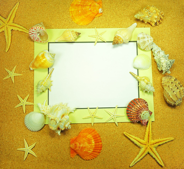 Cornice mare con stelle marine
 - Foto, immagini