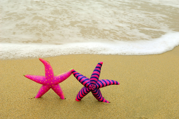 Starfish - Photo, Image