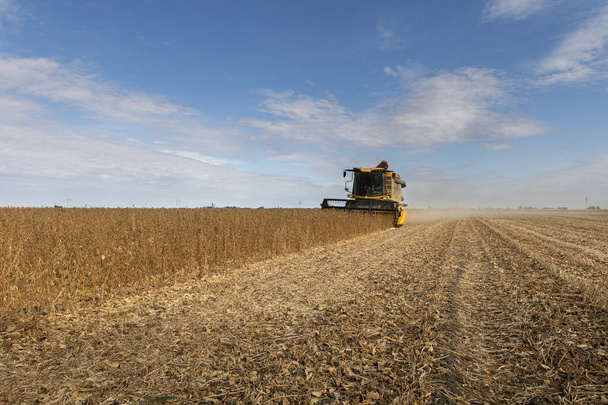 Kombinovaný kombajn pracující na pšeničném poli - Fotografie, Obrázek
