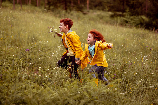 Happy siblings running in grassy meadow - Fotoğraf, Görsel