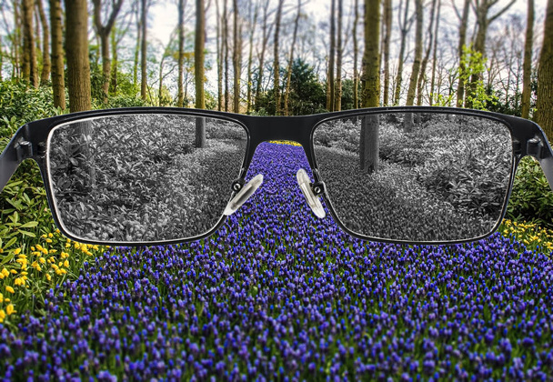 Vista sbiancata di giacinti d'uva blu e gialli nel parco in occhiali su sfondo colorato. La percezione del mondo durante la depressione. Condizioni mediche. Concetto salute e malattia. - Foto, immagini