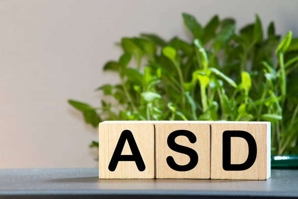 Autismus Spectrum Disorder ASD horizontale Blöcke, Geschäftskonzept - Foto, Bild
