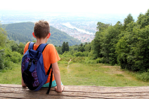 Vue sur Heidelberg depuis Koenigstuhl. Le Knigstuhl est une colline de 567,8 mètres de haut dans les montagnes d'Odenwald, dans la ville de Heidelberg, dans le Bade-Wrttemberg, en Allemagne.  - Photo, image