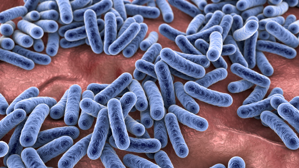 Bakterie, lidský mikrobiom, normální mikroflóra lidského těla, 3D ilustrace - Fotografie, Obrázek