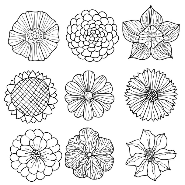 Vector collection of hand drawn flowers - Wektor, obraz