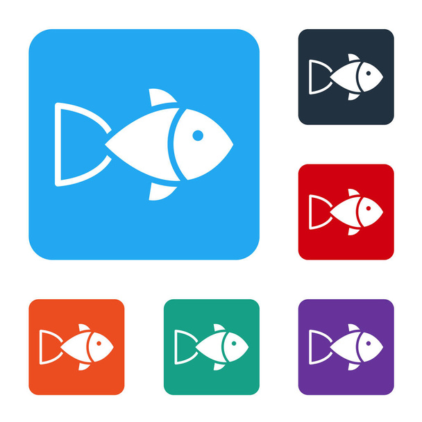 Ícone de peixe branco isolado no fundo branco. Definir ícones em botões quadrados de cor. Vetor. - Vetor, Imagem