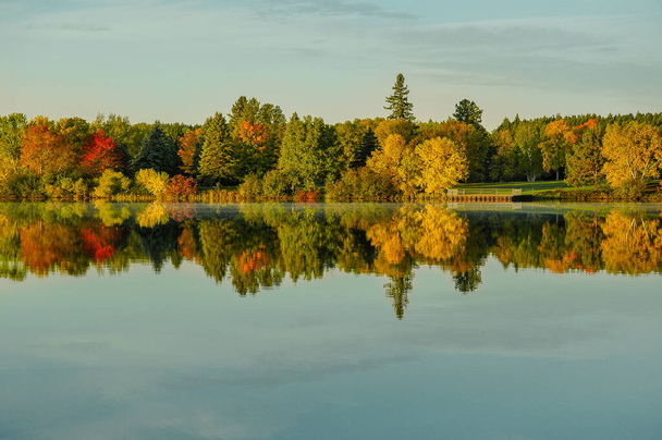 Shoreline of trees early changing season to autumn fall days. Outdoors Scenic lake landscape - Photo, Image
