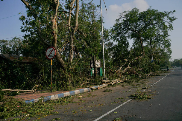 Kolkata, West Bengal, India - 23 maggio 2020: Super ciclone Albero sradicato che è caduto e ha bloccato il marciapiede. La devastazione ha fatto cadere molti alberi a terra. - Foto, immagini