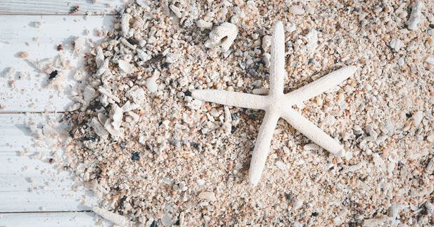 Star fish, reef and sea shell on white wood, fundo de verão - Foto, Imagem