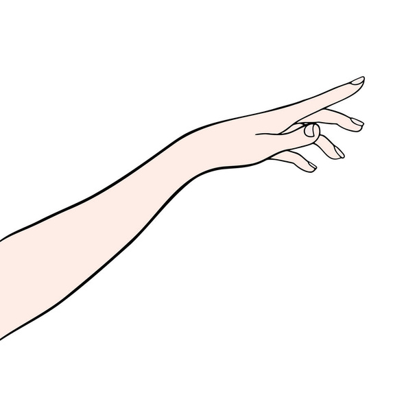 Käsi nainen näyttää sormi vektori siluetti. Naisen logo. Line piirustus Naisen nyrkki.  - Vektori, kuva