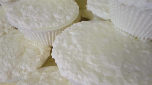 Queso Ricotta fresco en moldes de plástico en la fábrica de queso en Italia - Imágenes, Vídeo