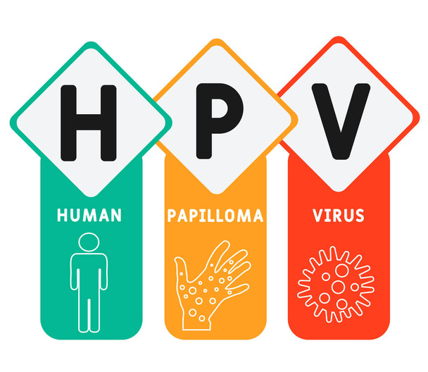 HPV - Human Papilloma Virus Akronym, medizinisches Konzept Hintergrund. Vektor-Illustrationskonzept mit Schlüsselwörtern und Symbolen. Schriftzeichnung mit Symbolen für Webbanner, Flyer, Landing Page - Vektor, Bild