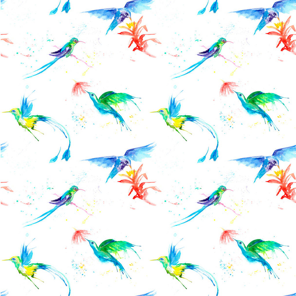 Aquarellzeichnung eines Vogels - ein Kolibri mit nahtlosem Muster - Foto, Bild
