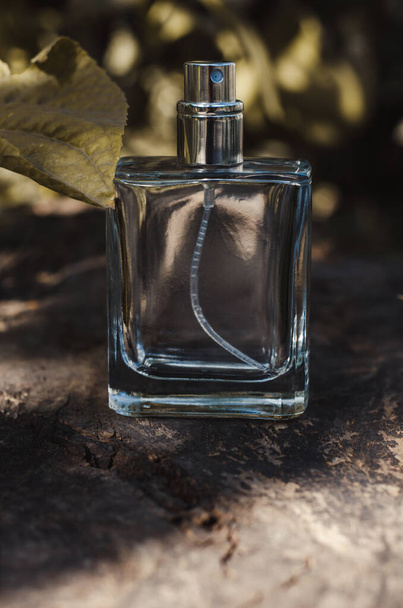 Een fles mannenparfum op de achtergrond van de natuur. Parfum op een achtergrond van donkergroene bladeren - Foto, afbeelding