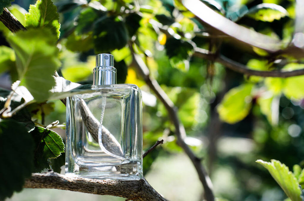 Mens perfume on a tree branch. Perfume on a background of leaves. Perfume bottle on a green background. - Photo, Image