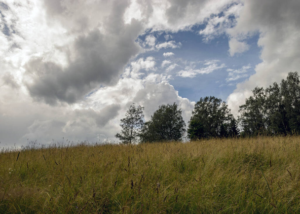 paisaje con nubes, bosque en el fondo y prados en primer plano, paisaje tradicional de verano - Foto, imagen