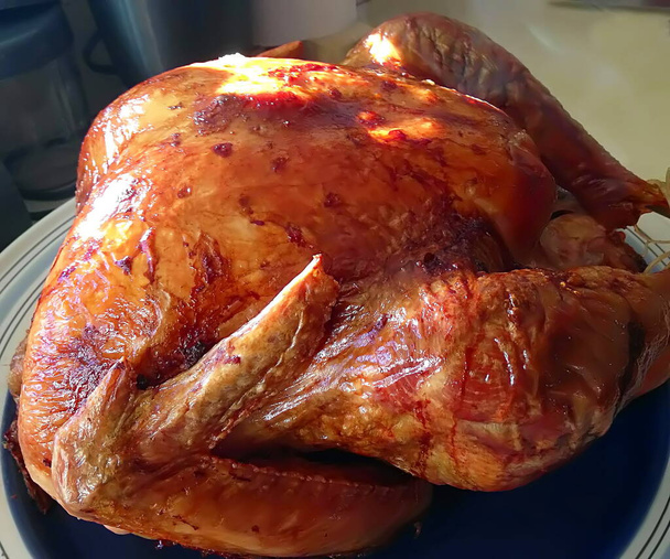 День благодарения индейка только что из духовки - Фото, изображение