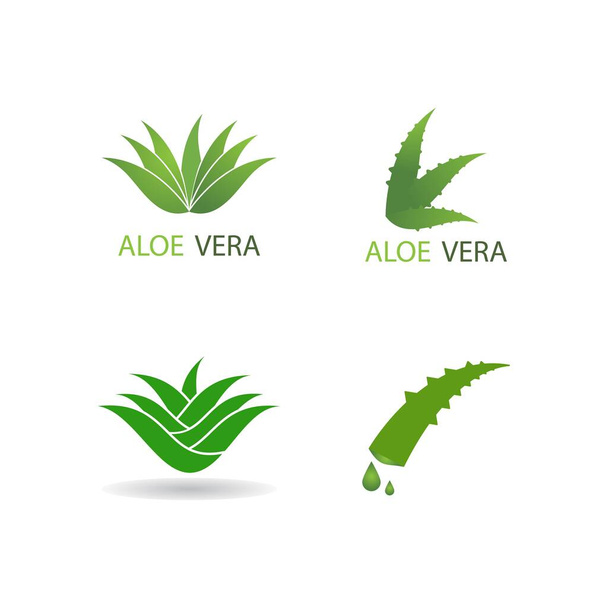 Modèle d'ilustration vectorielle de logo Aloe vera - Vecteur, image