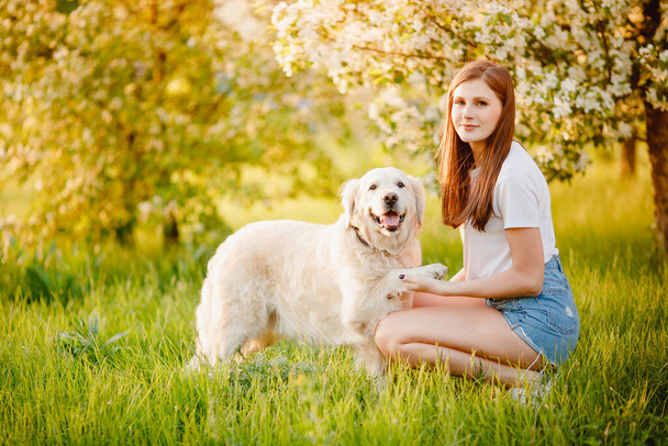Dog Labrador Retriever wykonuje polecenie, aby dać właściciela łapy, park letni - Zdjęcie, obraz