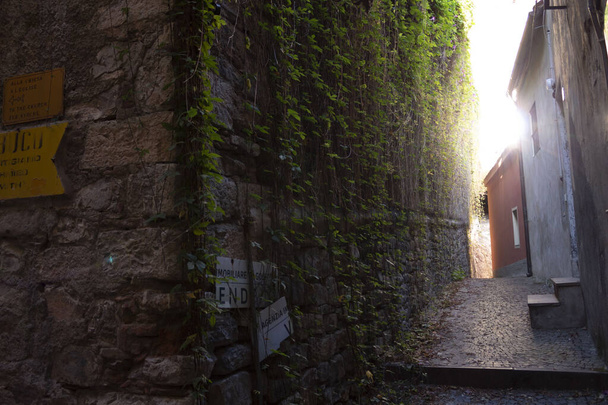 Antico muro medievale con rampicanti che scendo e una soffusa luce del sole che illumina il vicolo - Valokuva, kuva