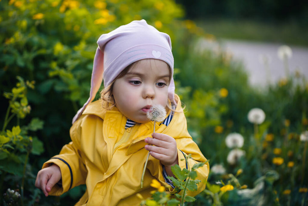 Little beautiful girl in a pink cap and a yellow jacket sits in a field of yellow dandelions and flowers - Foto, imagen