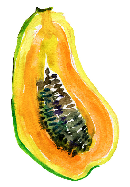 Papaya, watercolor illustration - Photo, Image