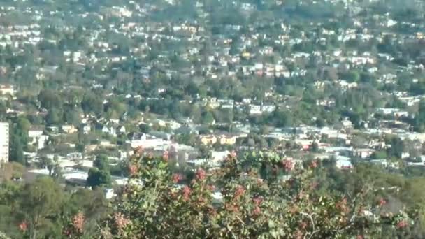 pohled do centra města los angeles - Záběry, video
